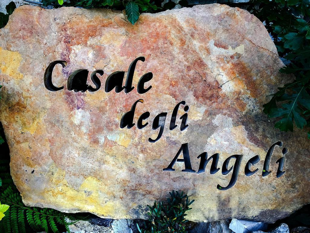 Bed & Breakfast Casale Degli Angeli
